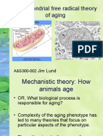 Mitochondrial Free Radical Theory of Aging: Jim Lund