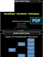 Mandibular Anesthetic Techniques