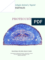 V Proteccion