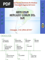 Expo MERCOSUR