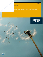 Custom Code Within SAP S4HANA OnPremise PDF