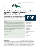 The First Case of Conjoined Twin Harbour Porpoises Phocoena Phocoena (Mammalia, Cetacea)