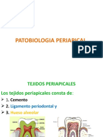 Patobiologia Periapical