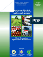 Next Generation Hydrocarbon Biorefineries PDF