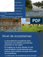 Biodiversidad Riqueza Patrones Distribución 2016 para El Blog