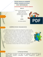 Declaracion de Los Derechos Humanos