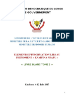 Livre Blanc Spécial Tome 1 Sur La Situation Dans Le Kasaï (Gouvernement de La RD Congo)