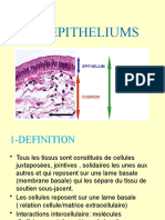 Tissu Epithelial