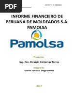 Informe Financiero - Pamolsa - Diego Macha