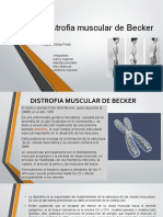 Distrofia Muscular de Becker