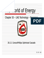 30M - ConocoPhillips Optimized Cascade PDF