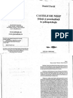 Castele de Nisip, Daniel David PDF