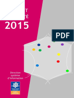 DSI - Rapport D'activité 2015