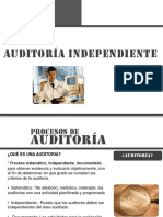 Auditoria Externa