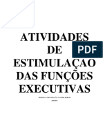 Funções Executivas 2