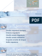 Lengua Geográfica