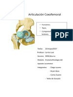 Articulación Coxofemoral