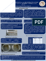 Planta de Romero Sobre Candidiasis Oral