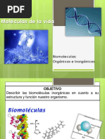 Biomoleculas Organicas e Inorganicas