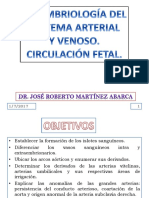 Desarrollo Del Sistema Arterial y Venoso Circulación Fetal