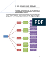 Teorias Desarrollo
