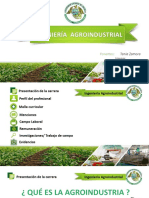 Ing. Agroindustrial