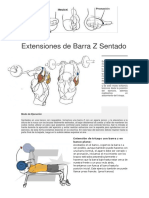 Extensiones de Barra Z Sentado