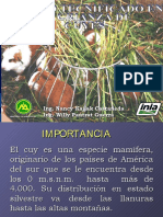 Peru Cuy PDF