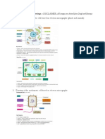 Revision HL Biology Diagram and Drawings