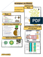 Notes Transport in Plants