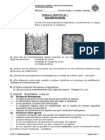 TPN1 - Solidificacion - 2010