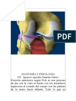 Anatomia y Fisiologia