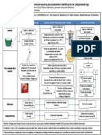 Flujograma Procesamiento Muestras Campylobacter