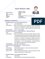 Cv. Pomaylle Quilca Joel PDF