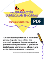 Programacion Curricular en Cunas