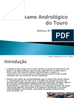 8-Exame Andrológico Do Touro