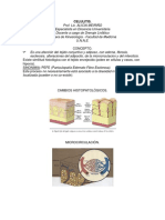 Celulitis 2