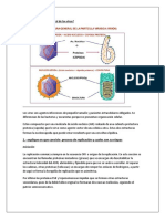 Cual Es La Estructura General de Los Virus