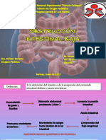 Obstruccion Intestinal Baja Cirugia Pediatrica