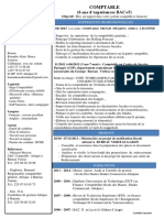 Curriculum Vitae Konan Kouadio Alain Bruce PDF