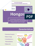 Clase Hongos Enfermeria 2014 - II