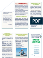 Triptico Salud Mental