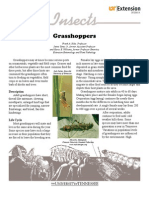 Grasshoppers