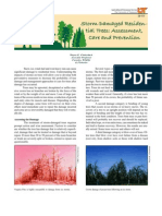 Storm Damaged Residential Trees Assessment. Care and Prevention