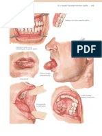 Netter's Obstetrics and Gynecology 2nd Edition Page 155