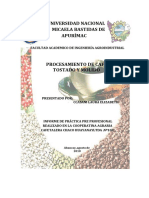 Informe Cafe Tostado Molido PDF