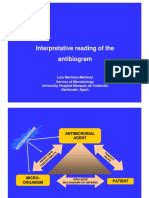 Interpretative Reading of The Antibiogram