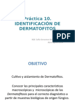 Prática 10. Identificación de Dermatofitos