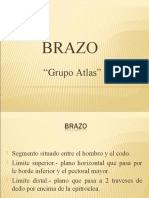 Anatomia Brazo (Resumen)