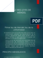 Las Tres Leyes de Mendel